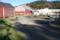 sb11