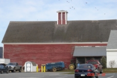 c13